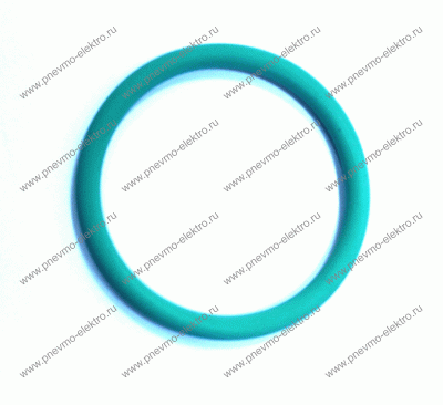 02.42.2 Кольцо (o-ring)