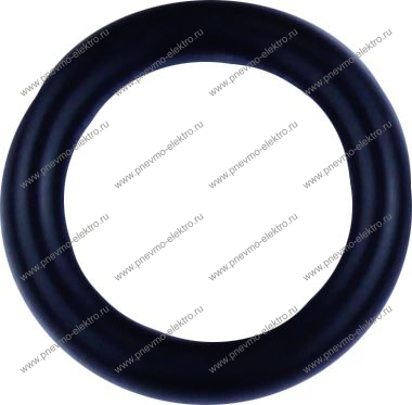 00.15 Кольцо (o-ring)