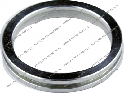 45.20 Кольцо (ring valve)