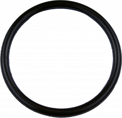 02.48 Кольцо (o-ring)