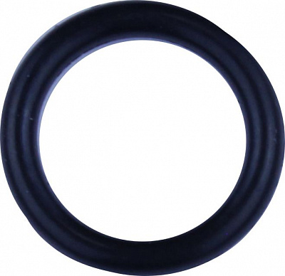 01.19 Кольцо (o-ring)