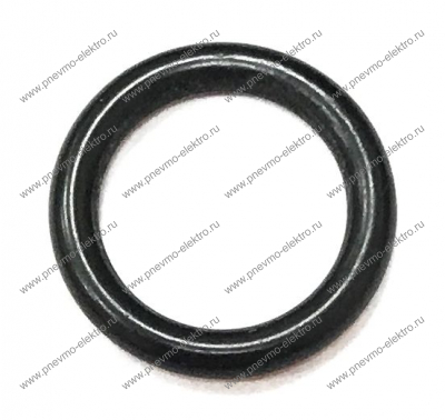 00.13 Кольцо (o-ring)