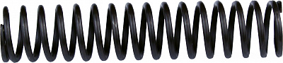 620270 Пружина CN80 (feed piston spring)
