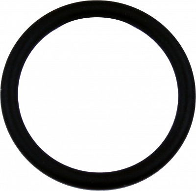 02.38.2 Кольцо (o-ring)