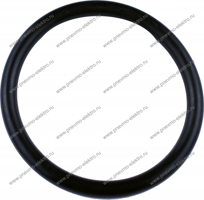 2041100-06010-0, Кольцо (o-ring)