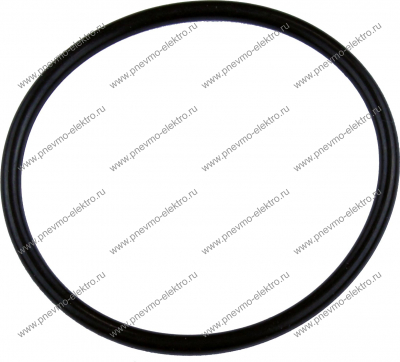 01.48 Кольцо (o-ring)