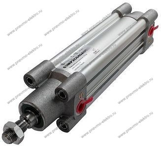 Пневмоцилиндр CAMOZZI 63MP2C040A0600 D40 ход 600