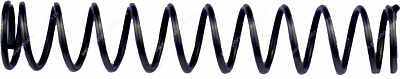 91.02 Пружина (plunger spring)