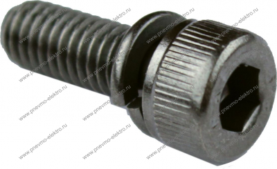 32P570 Болт (bolt)