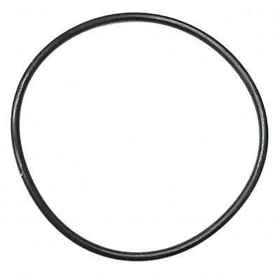00.48 Кольцо (o-ring)