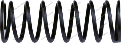 11367-0954701-1, Пружина толкателя (pusher spring)