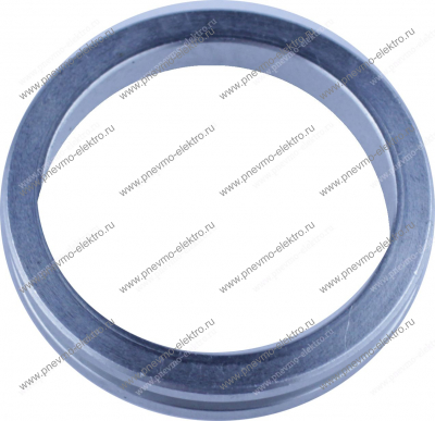 45.04 Кольцо (ring valve)
