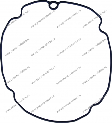 163845 Прокладка крышки N89C-1P-E