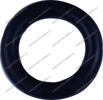 00.10 Кольцо (o-ring)