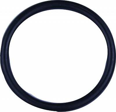02.42 Кольцо (o-ring)