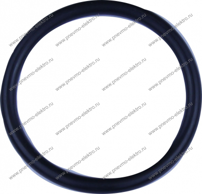 02.43 Кольцо (o-ring)