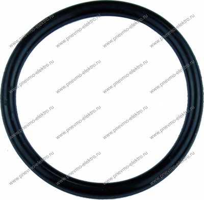 01.30 Кольцо (o-ring)